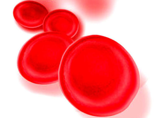 Արյան հեմոգլոբին